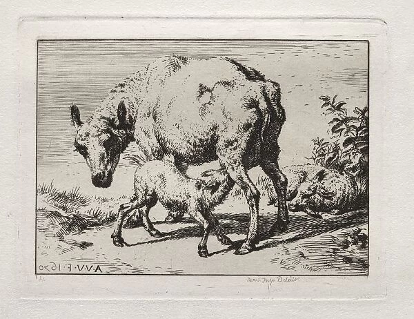 The Ewe with Two Lambs, 1850. Creator: Charles Meryon (French, 1821-1868)