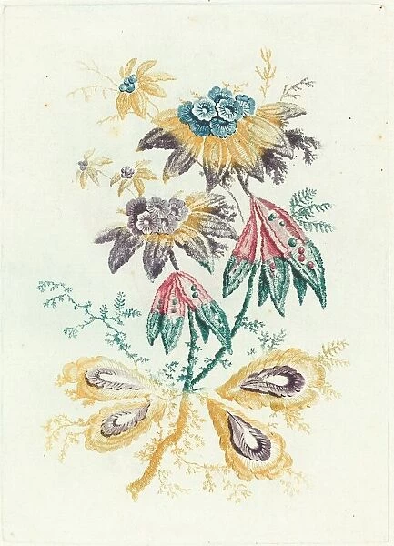 Fantastic Flowers with Peapod Leaves, 1795. Creator: Anne Allen