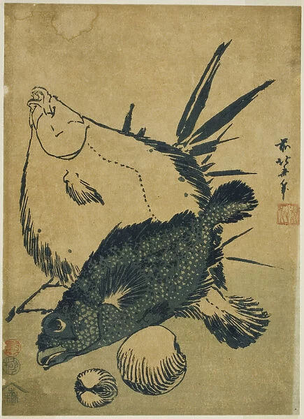 Flatfish, scorpion fish, and shells, from an untitled series of chuban prints, Japan, c