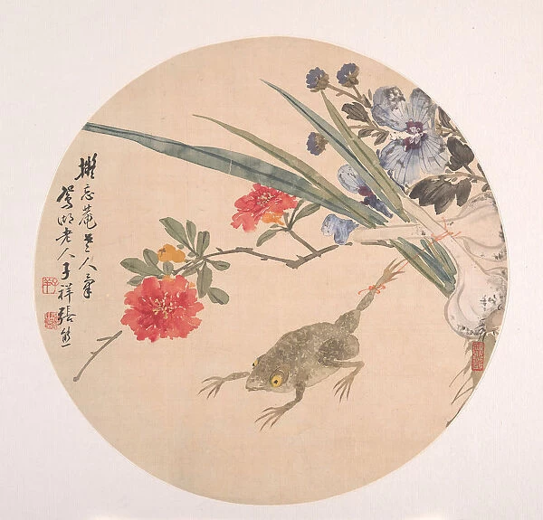 Flower and Toad. Creator: Zhang Xiong