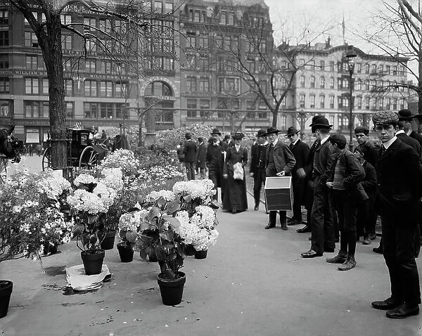 Flower vender's [sic] Easter display in Union Square Park, New York, between 1900 and 1910. Creator: Unknown