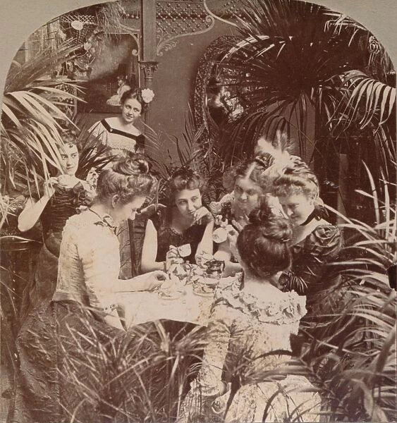 A Fortune in a Teacup, 1901