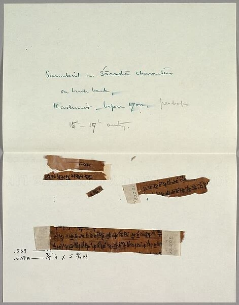Two Fragments of Bark with Sanskrit, before 1700. Creator: Unknown