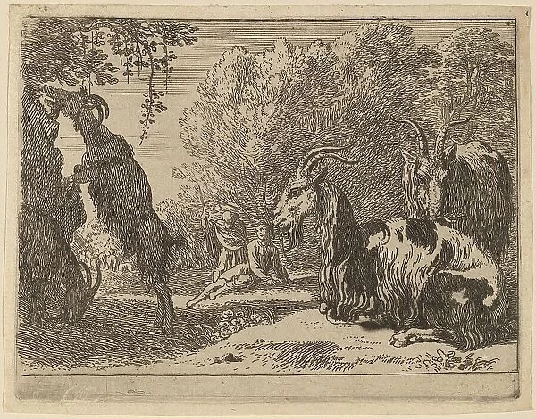 Goats. Creator: Herman van Swanevelt