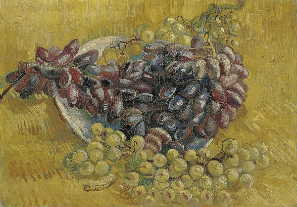 Grapes. Found in the Collection of Van Gogh Museum, Amsterdam