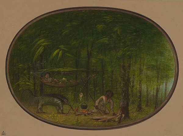 The Great Ant-Eater, 1854  /  1869. Creator: George Catlin