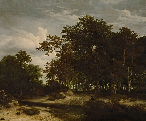 The Great Forest, c. 1660. Artist: Ruisdael, Jacob Isaacksz, van (1628  /  29-1682)