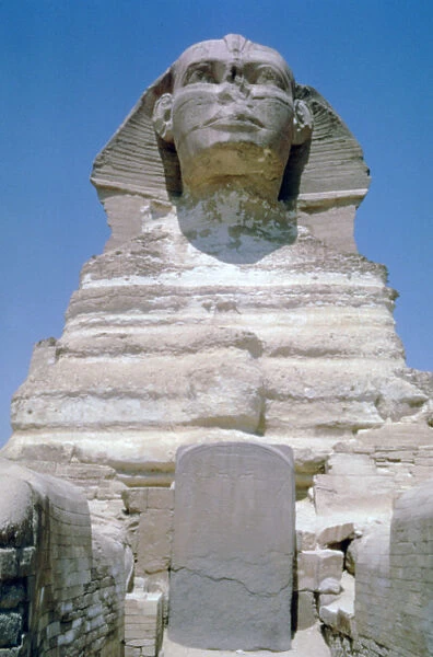 The Great Sphinx of Giza, Giza Plateau, Egypt