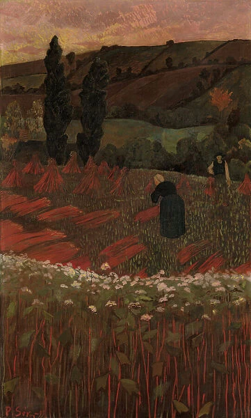 The Harvest of Buckwheat, 1899. Creator: Paul Serusier
