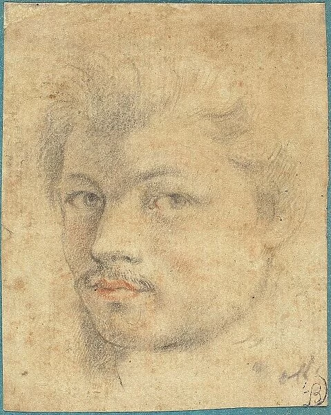 Head of a Man, 1580 / 1610 (?). Creator: Unknown