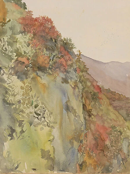 Hill covered with flowers and plants, 1865-1913. Creator: Abrahamina Arnolda Louisa Hubrecht