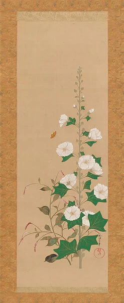 Hollyhocks and Prince s-Feather Flowers, early 19th century. Creator: Sakai Oho