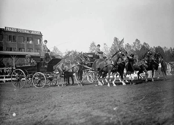 Horse Shows - 4-Horse Teams, 1912. Creator: Harris & Ewing. Horse Shows - 4-Horse Teams, 1912. Creator: Harris & Ewing
