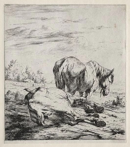 The Two Horses, 1850. Creator: Charles Meryon (French, 1821-1868)