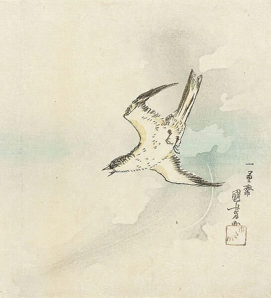 Hototogisu, Mid-19th century. Creator: Utagawa Kuniyoshi