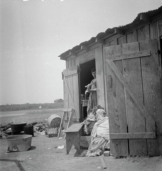 Housing for cotton pickers, South Texas, 1936. Creator: Dorothea Lange