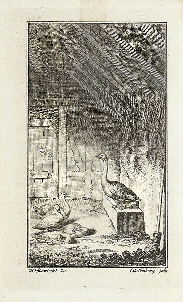 Illustration for Mathias Claudius Asmus Omnia sua secum Portans, (Published 1783?). Creator: Johann Rudolf Schellenburg