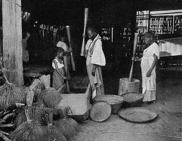 La preparation du riz aux Philippines; Les Terres Du Pacifique, 1914. Creator: Unknown