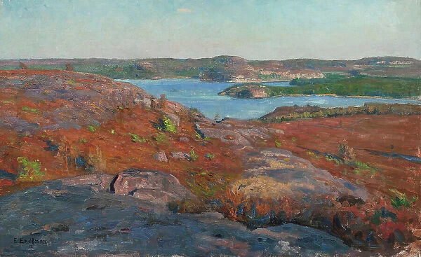 Landscape. Fjärås, Halland. Creator: Elias Erdtman