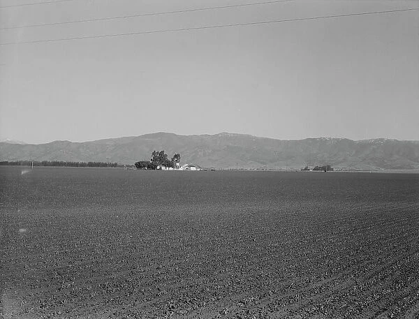 Large-scale agriculture (peas) and old style California ranch house, near King City, CA, 1939. Creator: Dorothea Lange