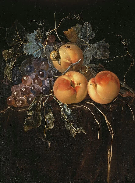 Still Life with Peaches and Grapes. Creator: Willem van Aelst
