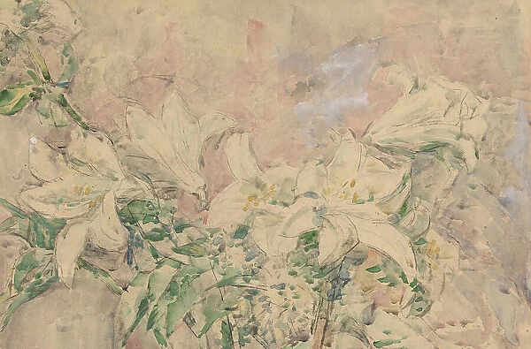 Lilies, 1873-1932. Creator: Willem Steenhoff
