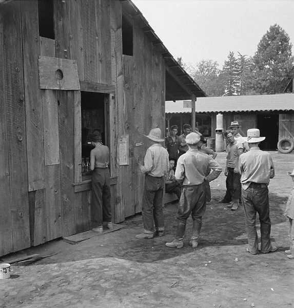 Part of line up at paymasters window at noon... near Grants Pass, Josephine County, Oregon, 1939. Creator: Dorothea Lange