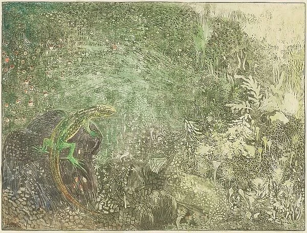 Lizard on a stone, 1878-1917. Creator: Theo van Hoytema