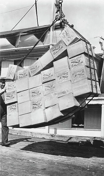 Loading boxes of salmon Petersburg, between c1900 and c1930. Creator: Unknown