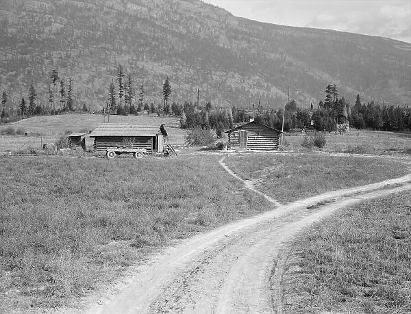 Log buildings and cleared land on FSA borrowers place, Boundary County, Idaho, 1939. Creator: Dorothea Lange