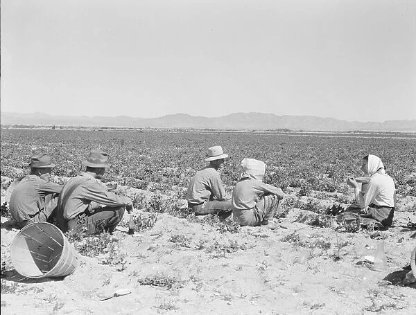 Lunchtime in the field, camp in background, near Calipatria, California, 1939. Creator: Dorothea Lange