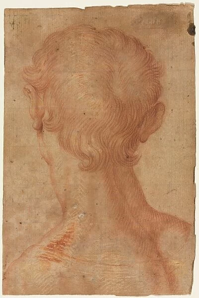 Mans Head from the Back, 16th century?. Creator: Unknown