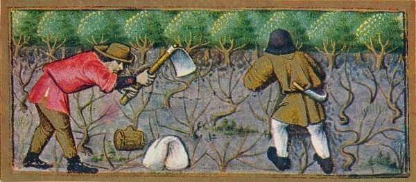 March - working in the vineyard, 15th century, (1939). Creator: Robinet Testard