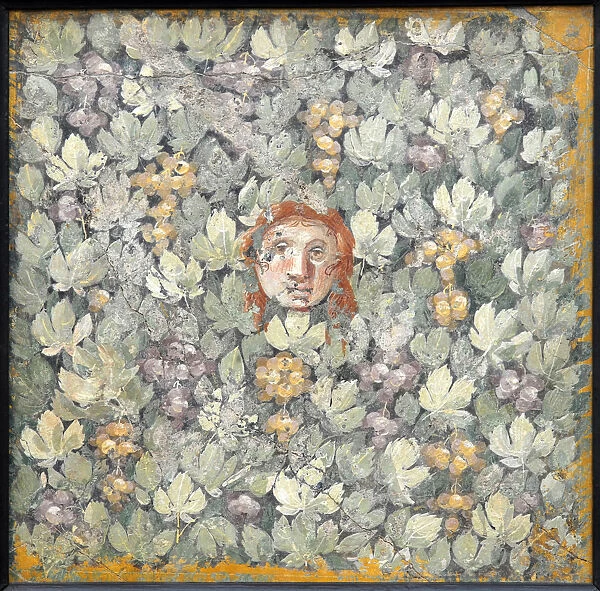 Mask on vine leaves and bunches of grapes, 1st H