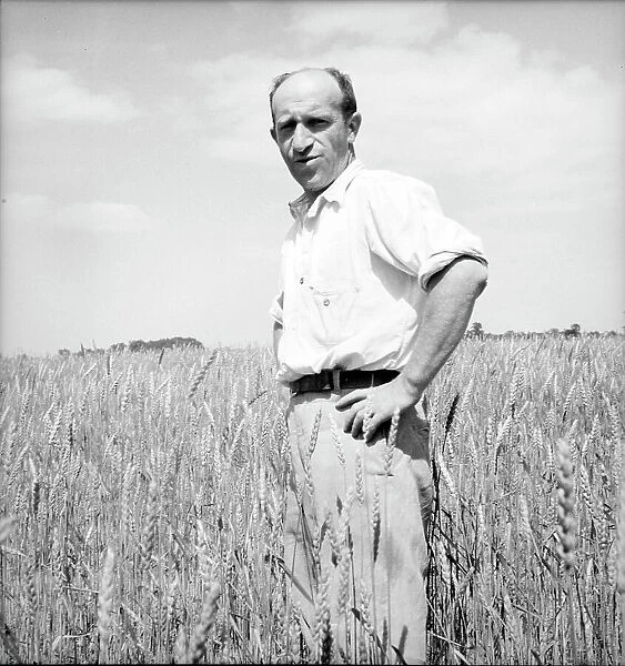 Member of the Hightstown farm group says: 'Who says Jews can't farm?' Hightstown, New Jersey, 1936. Creator: Dorothea Lange. Member of the Hightstown farm group says: 'Who says Jews can't farm?' Hightstown, New Jersey, 1936