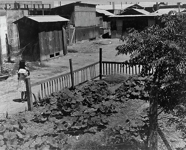 Mexican field laborers houses, Brawley, Imperial Valley, California, 1935. Creator: Dorothea Lange