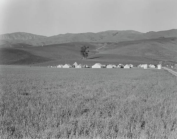 Migratory labor camp in the Santa Clara Valley, near San Jose, California, 1937. Creator: Dorothea Lange