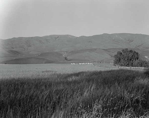 Migratory labor camp in the Santa Clara Valley, California, 1937. Creator: Dorothea Lange
