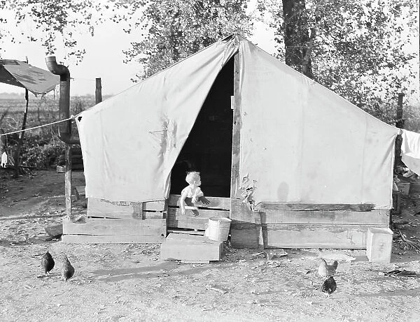 Migratory orange picker's camp, Exeter, California, 1936. Creator: Dorothea Lange
