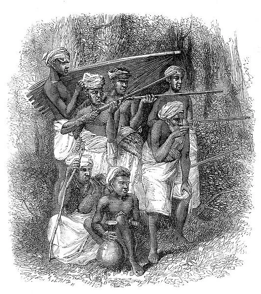 Mode of capturing wild elephants in Ceylon: the alarm, 1864. Creator: Unknown