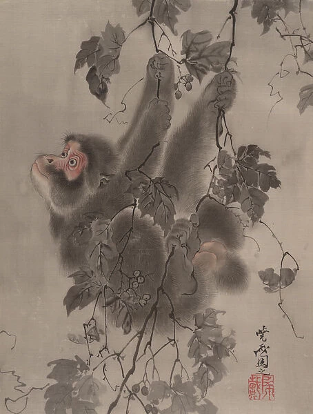 Monkey Hanging from Grapevines, ca. 1887. Creator: Kawanabe Kyosai