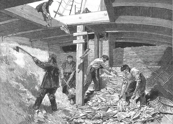 The Newfoundland Cod Fishery; Salting the Fish in the Hold of the Brig, 1891. Creator: Unknown