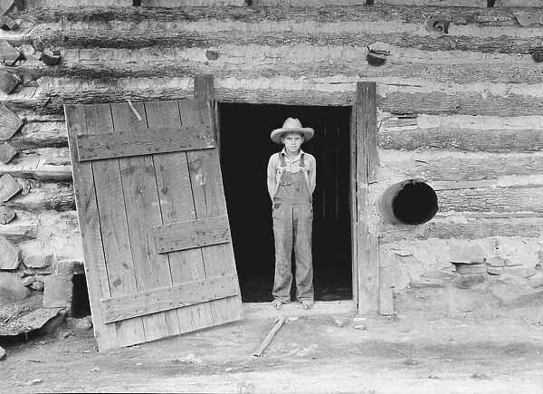 North Carolina farm boy in doorway of tobacco barn, Person County, North Carolina, 1939. Creator: Dorothea Lange