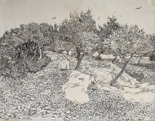 Oliviers à Montmajour, 1888. Creator: Gogh, Vincent, van (1853-1890)