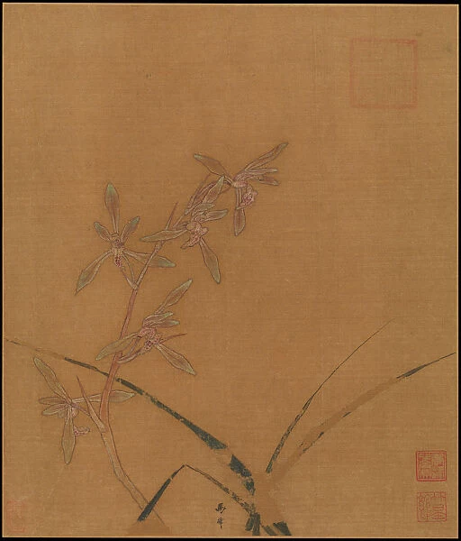 Orchids, second quarter of the 13th century. Creator: Ma Lin