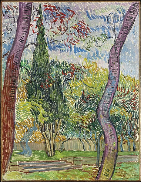 Parc de l hopital Saint-Paul, 1889. Artist: Gogh, Vincent, van (1853-1890)