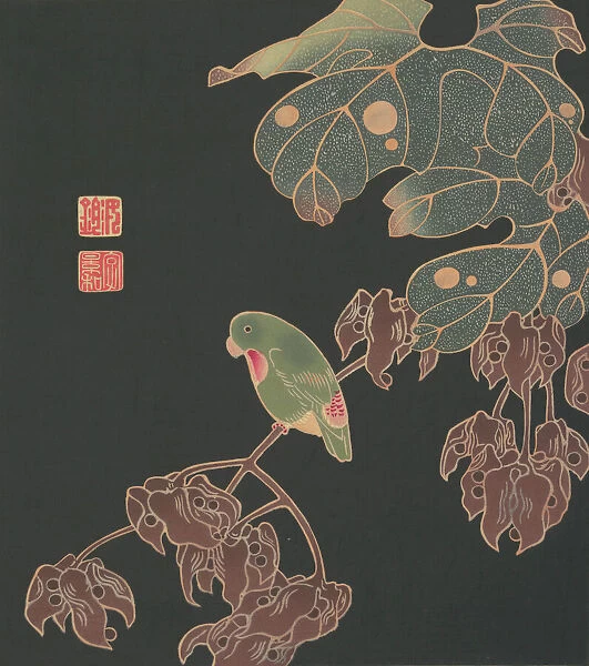 The Paroquet, ca. 1900. Creator: Ito Jakuchu