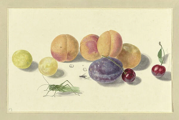 Peaches, plums, cherries and two bugs, 1818-1853. Creator: Elisabeth Geertruida van de Kasteele