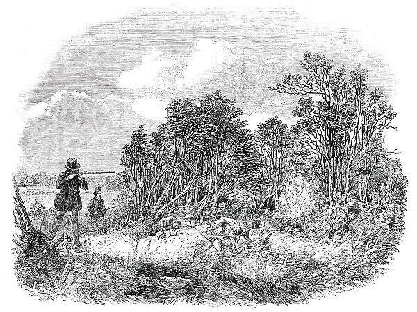 Pheasant-Shooting - drawn by Duncan, 1850. Creator: Unknown