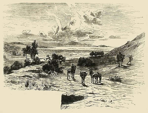 Plain of Marathon, 1890. Creator: Unknown
